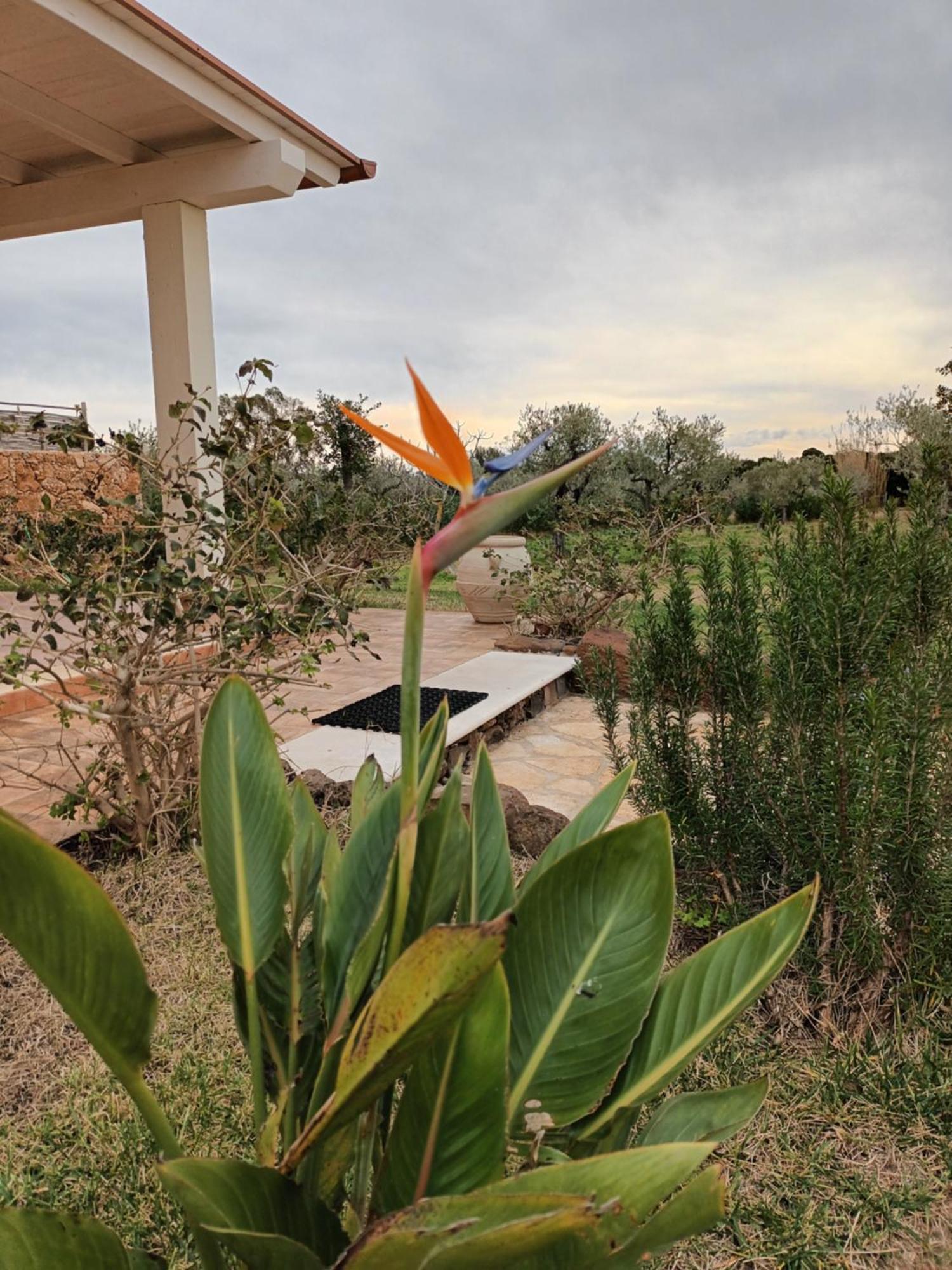Villa Aratha Orosei Esterno foto